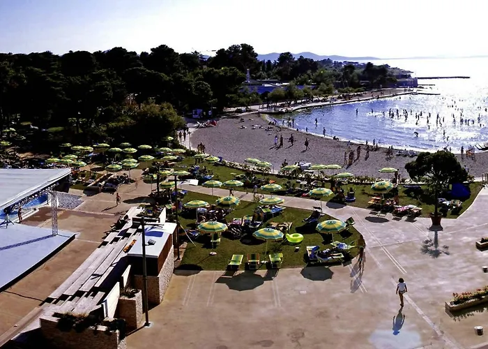Borik Pedic Zadar