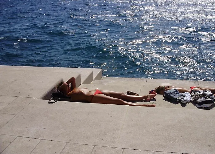 Borik Pedic