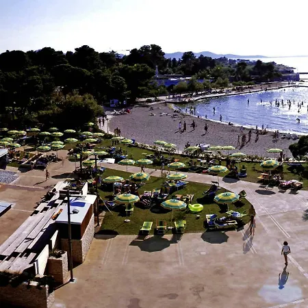Borik Pedic Zadar
